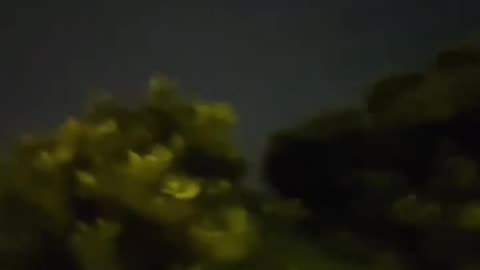 🤯✨ Wait Until You See This Space Debris or Meteor Shower Over Delhi! | FeedMyCuriosity