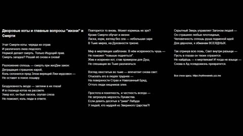 Дворовые коты и главные вопросы "жизни" и Смерти