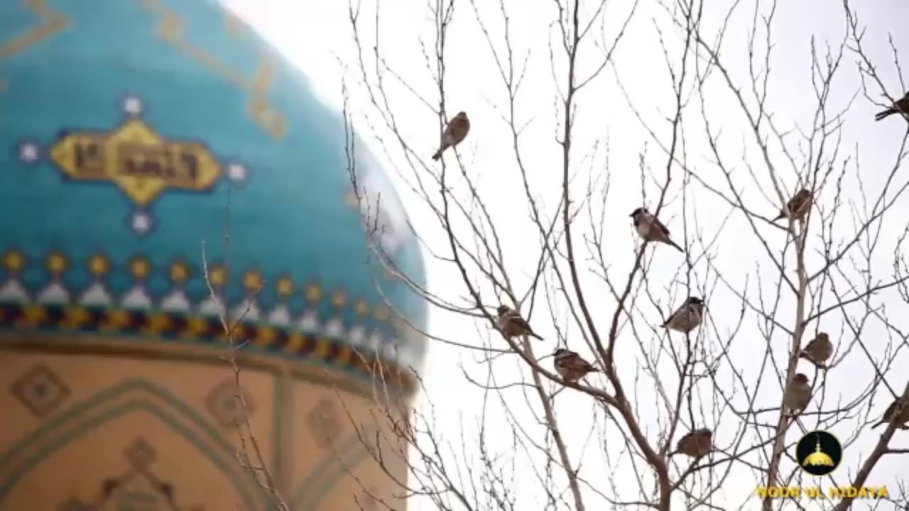 Most Beautiful Voice Quran Recitation