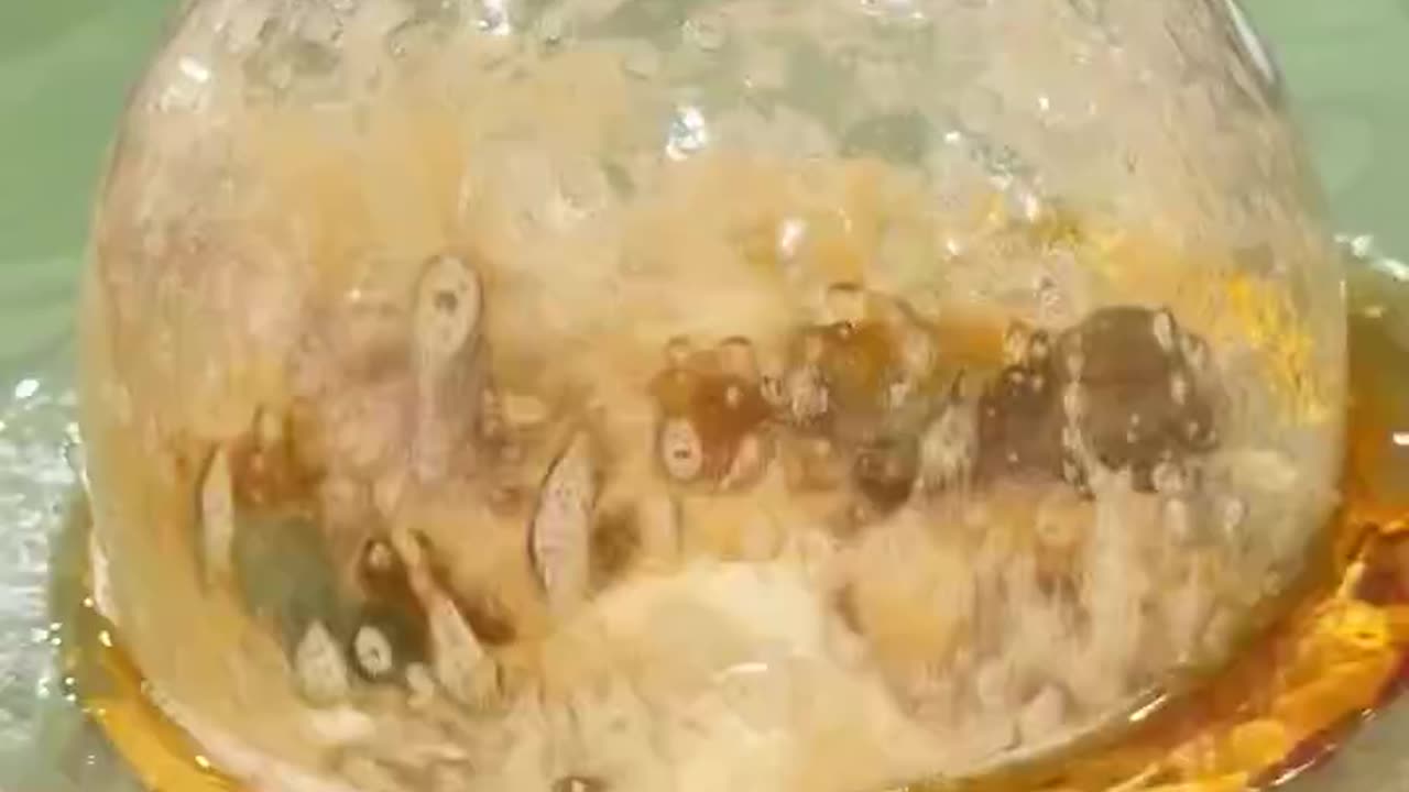 Drunken Shrimp 🍤 Delicacy