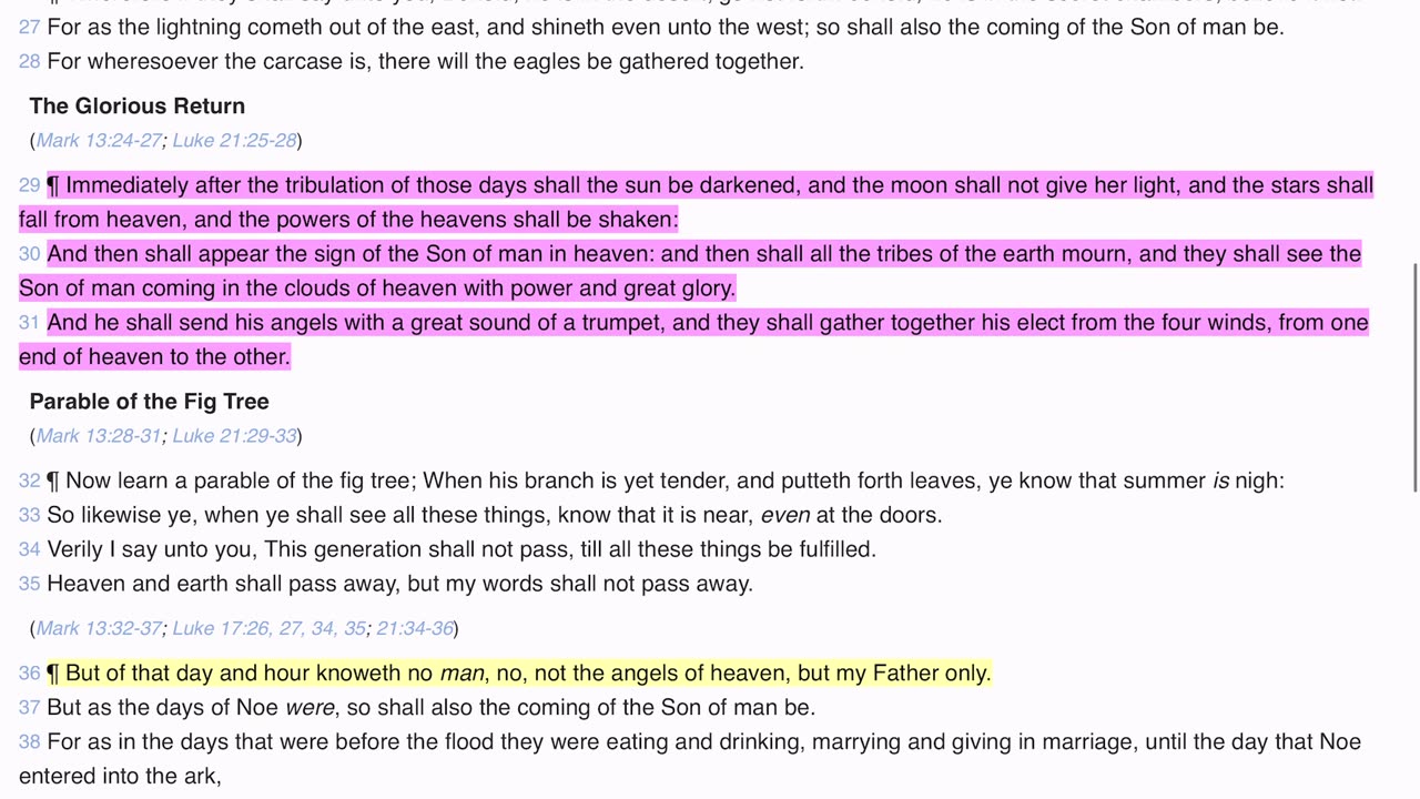 Rightly dividing Matthew 24