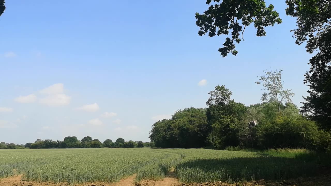 WILL 666 You / Escape In Time ? Get Out Alive 90 Seconds to Midnight 3