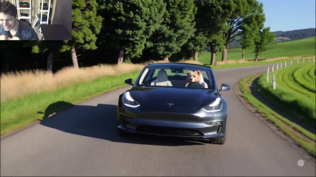 Outtake #1,196 Of The Dog Drives A Tesla Model 3 Car On The Roadway Fake Funny Parody Video