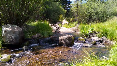 Creek by Big Lake in Arizona