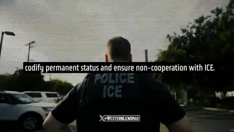 The Democrat open borders 9 step plan to entrench single party rule