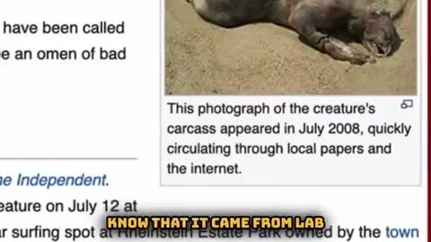 FACTS: The US Government Turned Ticks into BIOLOGICAL BOMBS