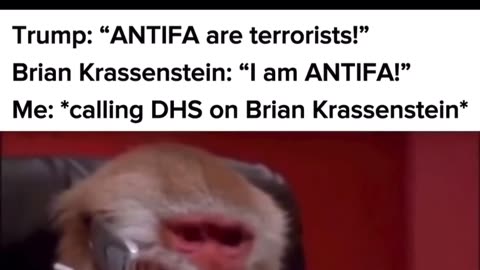 Brian Krassenstien
