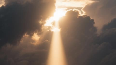 Kimba Rises Above the Storm