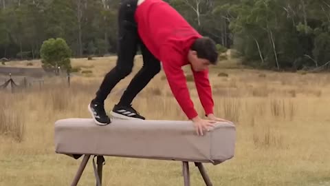 If animals did parkour