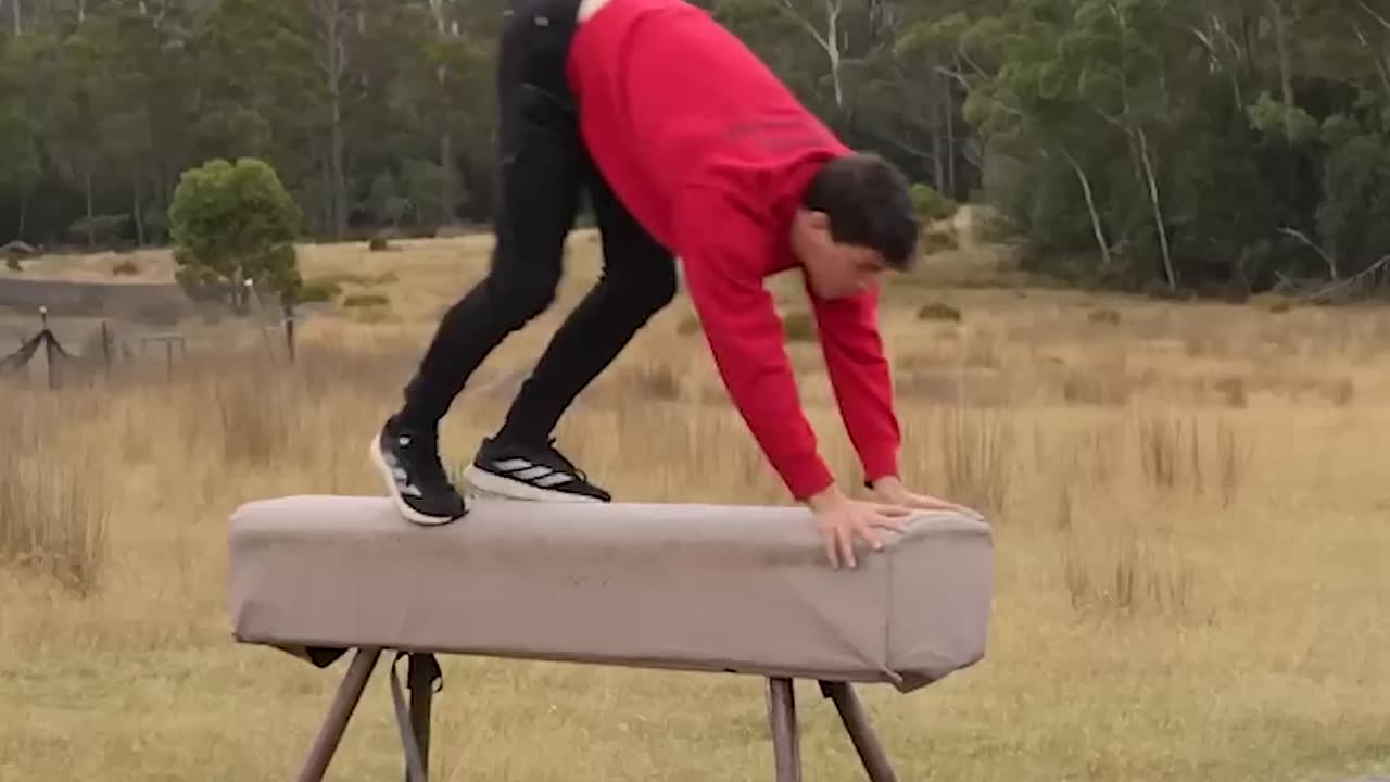 If animals did parkour