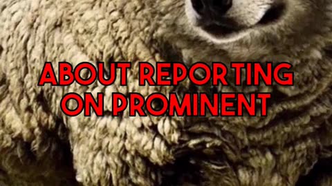The Double Edged Online Spotlight Reporting on Taylor Lorenz