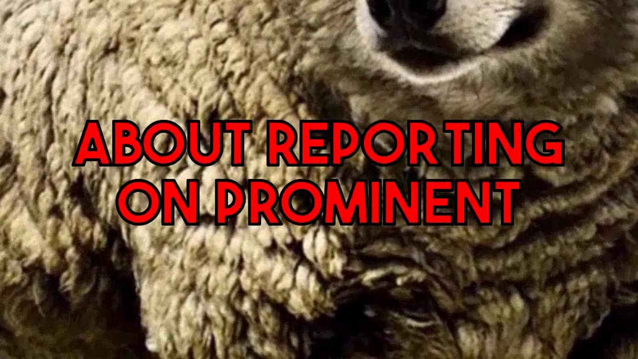 The Double Edged Online Spotlight Reporting on Taylor Lorenz