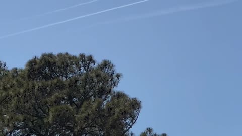 5-5-25 OBX NC who is paying for this?