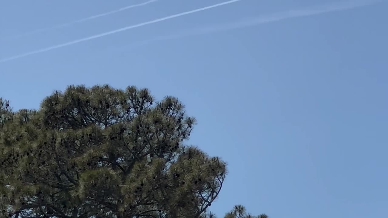 5-5-25 OBX NC who is paying for this?