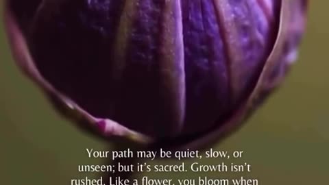 Growth