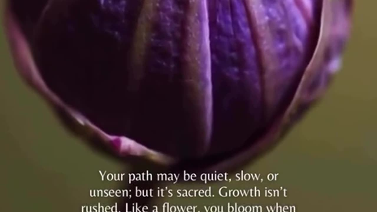 Growth