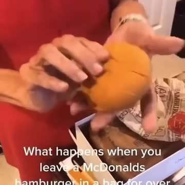 MCDONALD'S 20 YEAR BURGER WARRANTY?