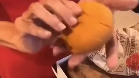 MCDONALD'S 20 YEAR BURGER WARRANTY?