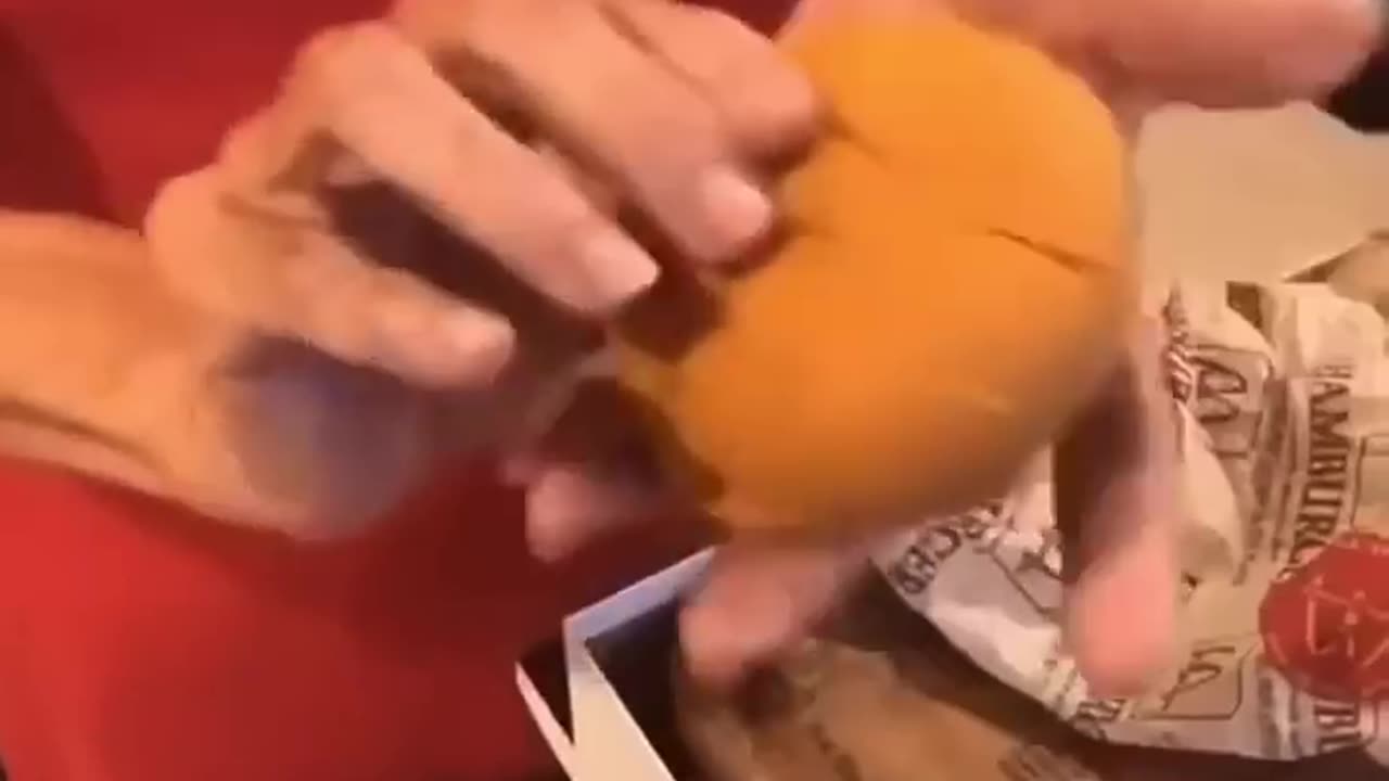 MCDONALD'S 20 YEAR BURGER WARRANTY?