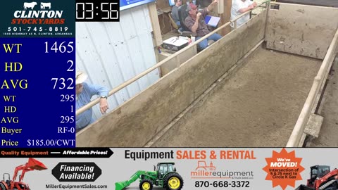 8/30/2025 - Cattle Auction - Clinton Stockyards