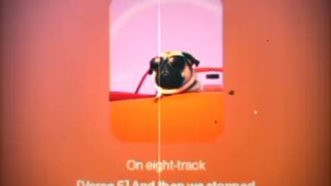 "Smoking Weed With My Pug - A Grumble of Pugs" (2025) Psych/Pop Rock Single ☆ A-Side