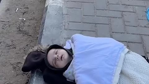 Infant sleeps on the roadside as displaced Gazan families struggle