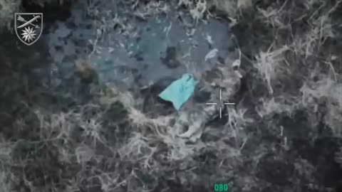 Ukrainian Drone Hangs Out at a Watering Hole and Waits