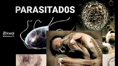 Paracitos con ADN de instectos en humanos - vacunas