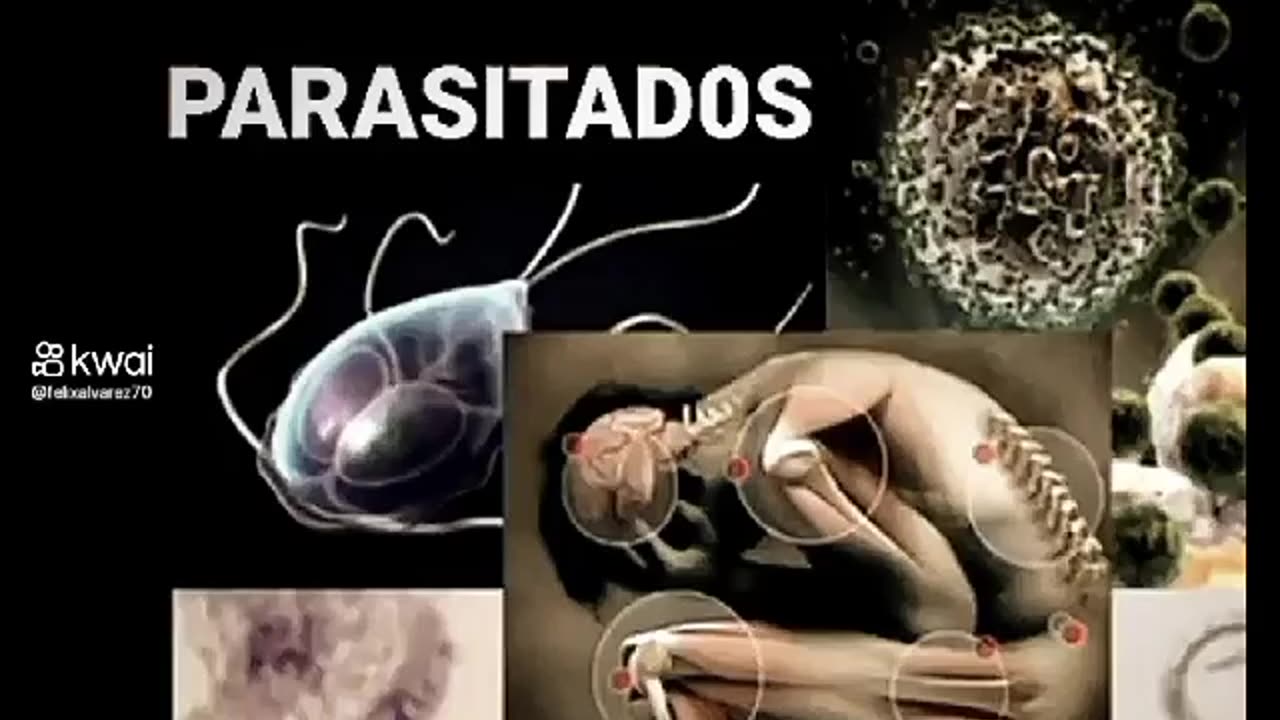 Paracitos con ADN de instectos en humanos - vacunas