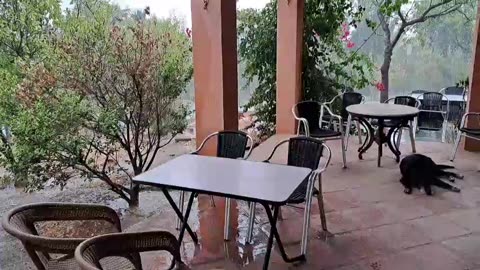 Calming Rain