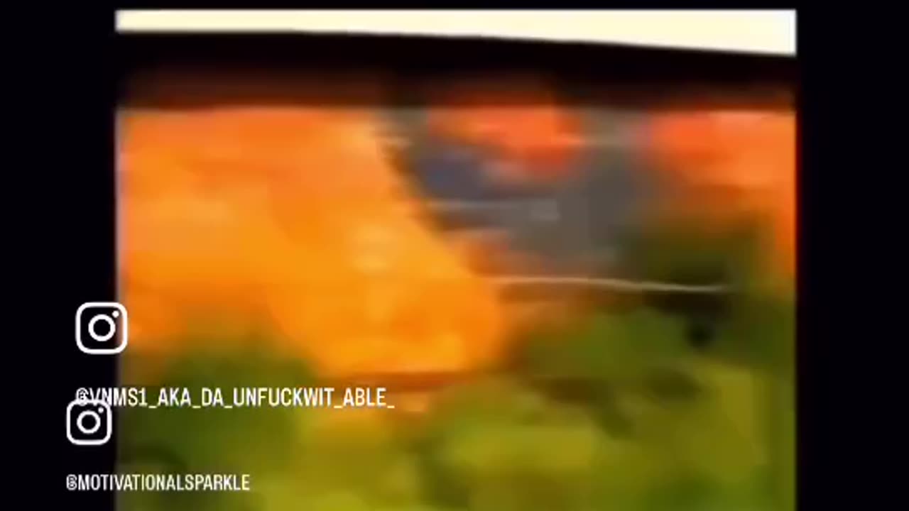 David Cole Debunks The Jewish Holocaust