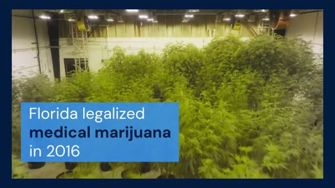 Cheapest Medical Marijuana Card Online in Florida – MD Marijuana Card Express