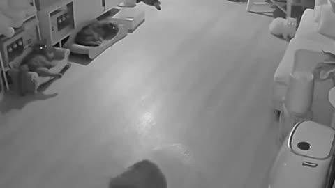 Working the night shift.