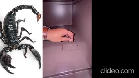 A view of a interior of a cupboard