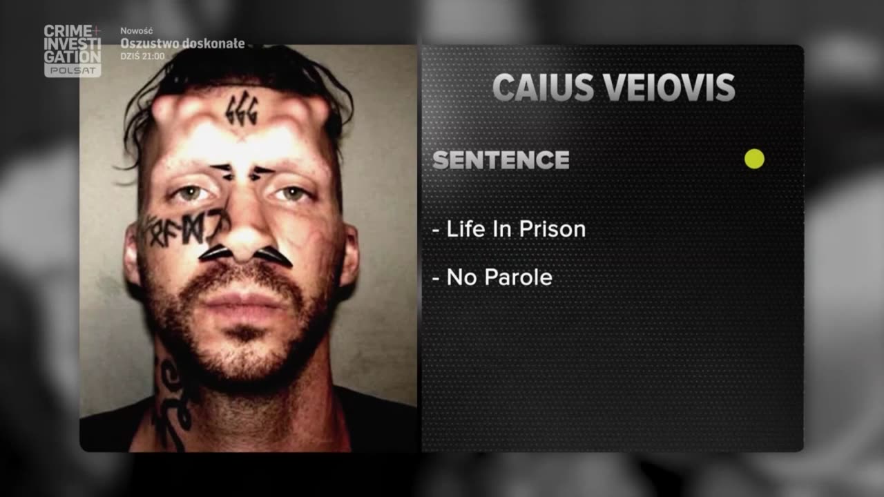 COURT CAM 13 lektor pl