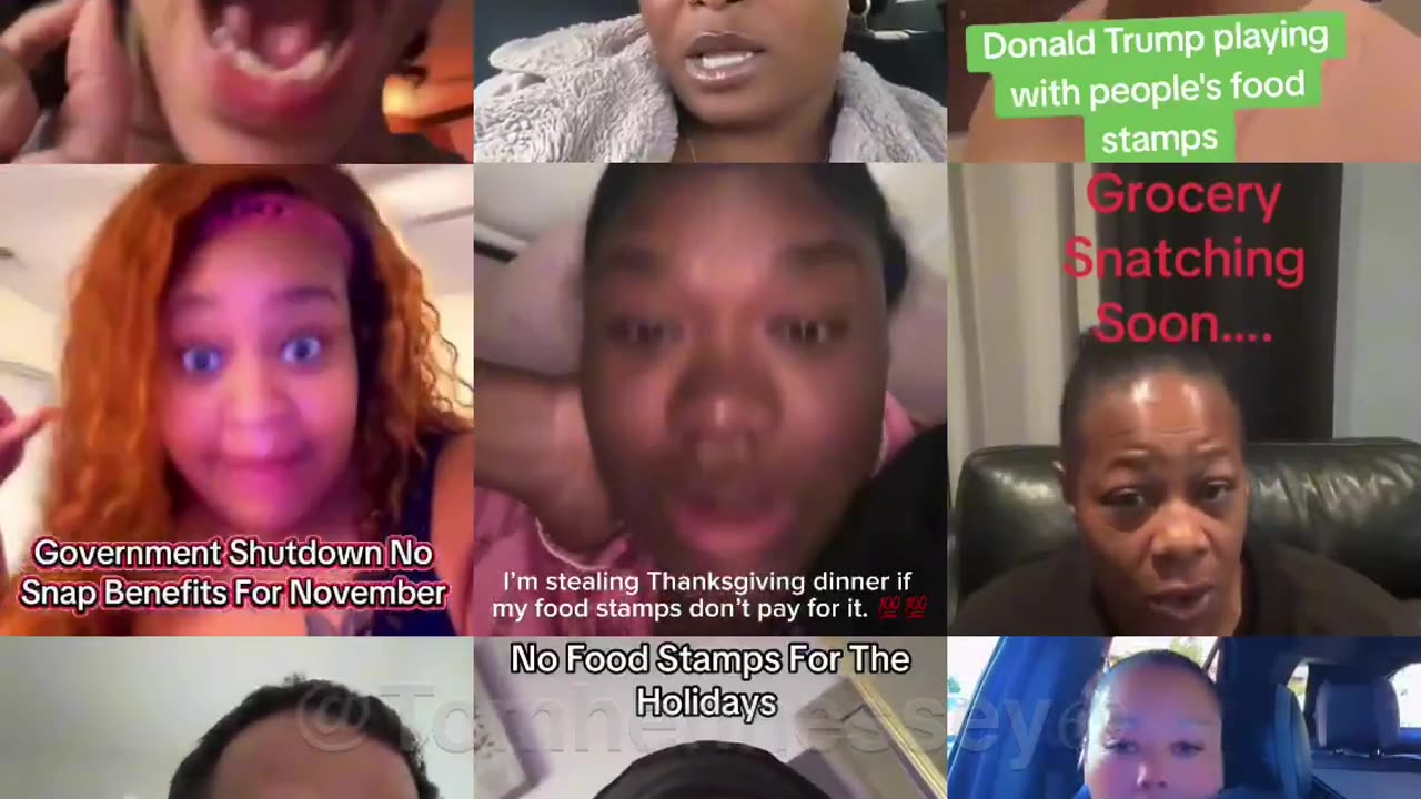𝗦𝗵𝘂𝘁𝗱𝗼𝘄𝗻 SNAP / EBT payouts may be paused.