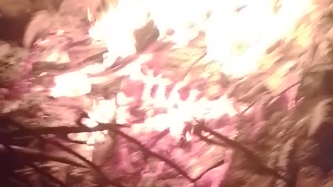 Fire tonight yo
