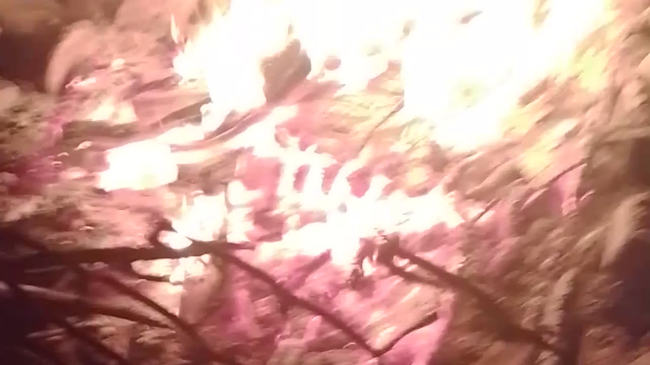 Fire tonight yo