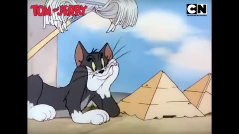 Tom and Jerry Funny