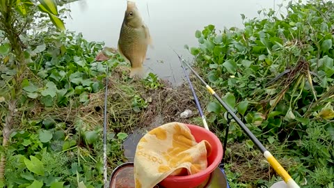 Catfish Bait Fishing in River Deep Ends