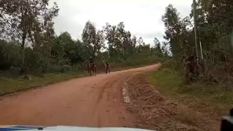 Raid 100kg, 10km en la 3° Edición de Galopando por Centurión - Cerro Largo, Uruguay 15/06/2025