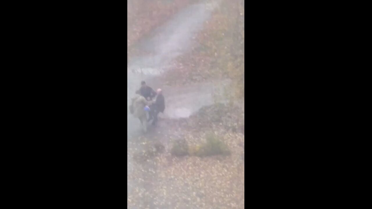 🇺🇦More videos of forced mobilization in Ukraine.