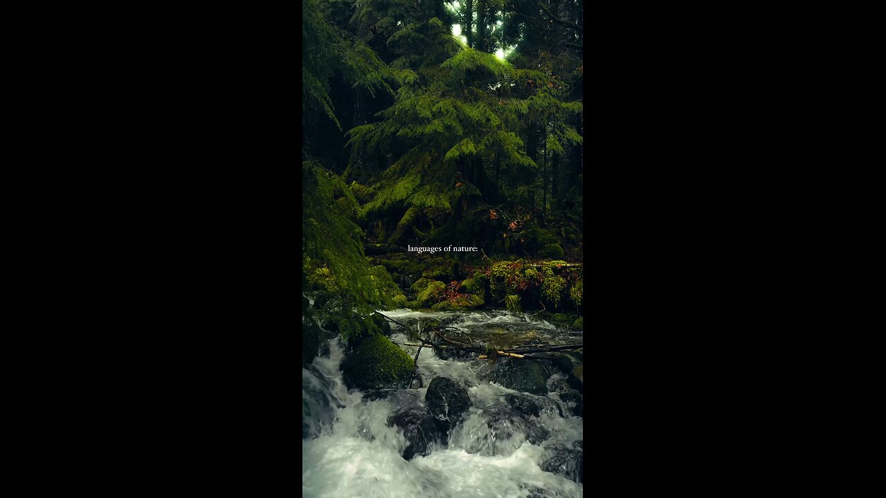 10 sec of pure Nature sounds