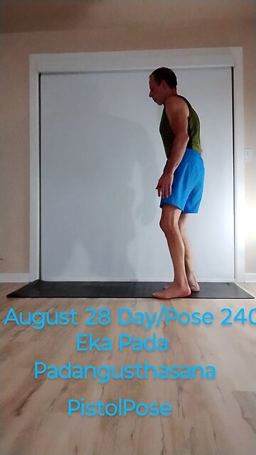 Eka Pada Padangusthasana / Pistol Pose