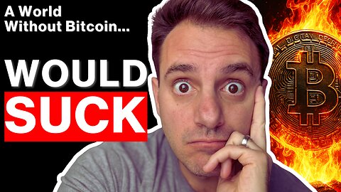 I Don’t Want to Live in a World Without Bitcoin