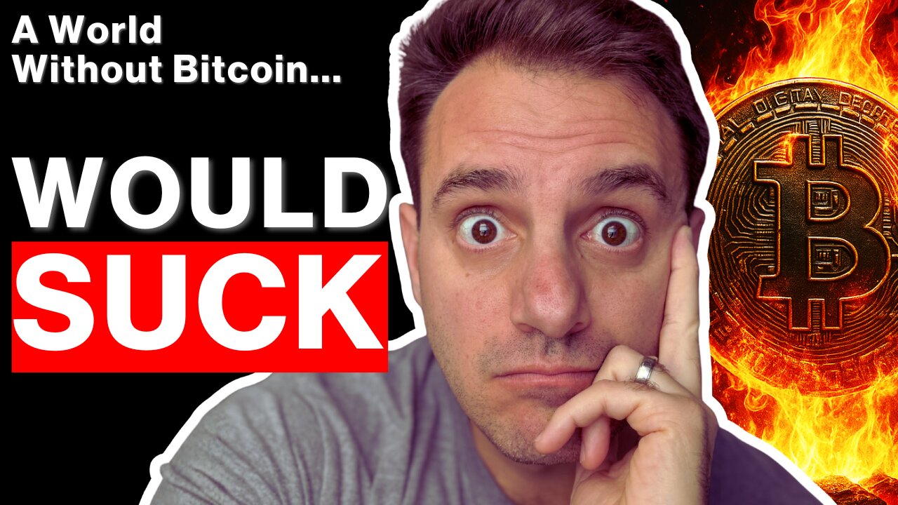 I Don’t Want to Live in a World Without Bitcoin