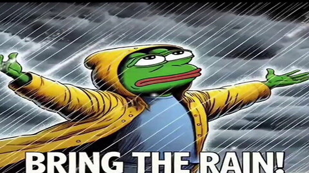 🐸STQRM N3WS17 - NOBODY WALKS AWAY FROM THIS 🐸 WEEKEND WARRIOR