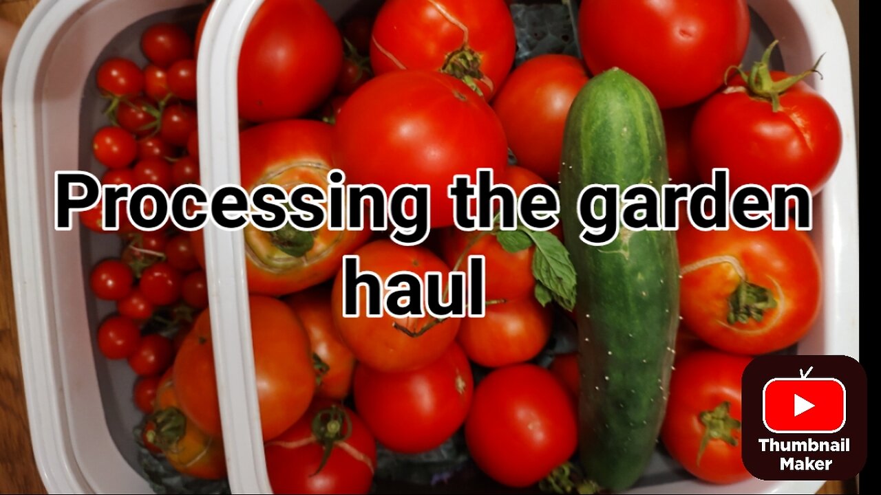 Processing my garden haul