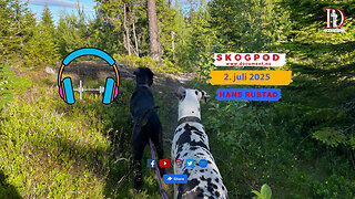 Skogpod 2. juli 2025