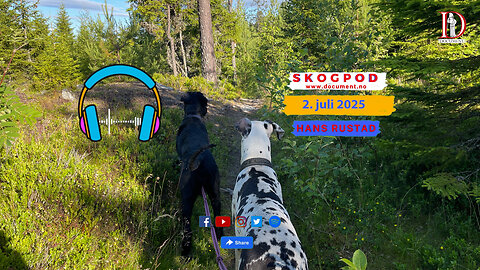 Skogpod 2. juli 2025